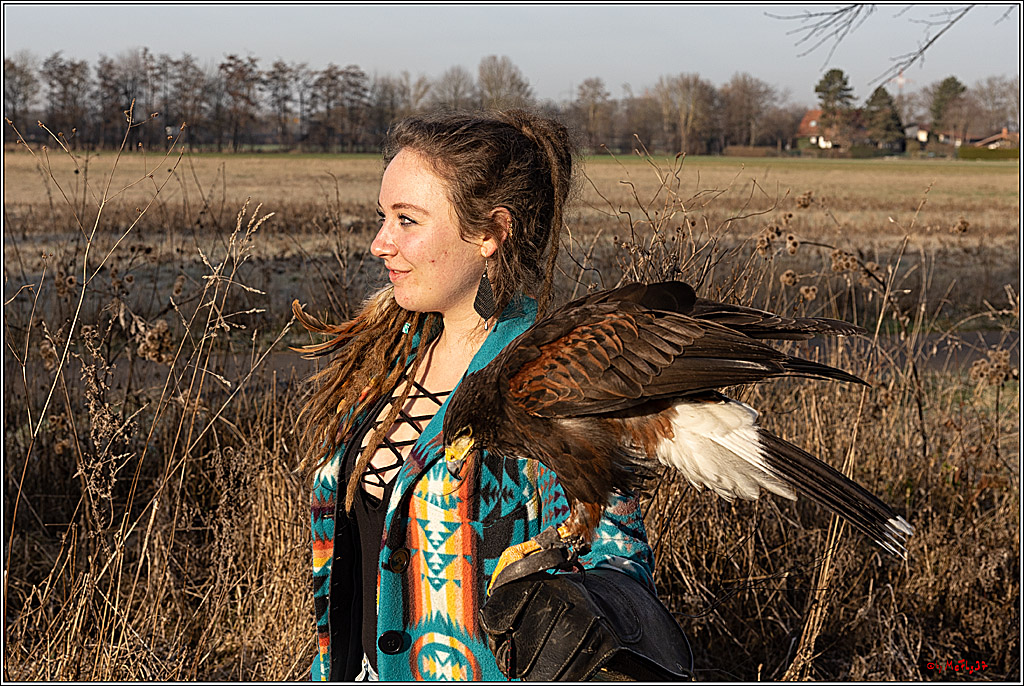 Cheyenne-Halbblut Hunting Wolf in der Falknerei Pierre Schmidt; Gymnich, 09.02.2023